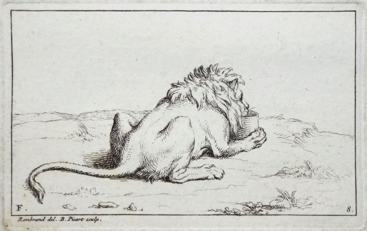 Etching - F. 8. Lion - Picart